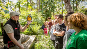 Adelaide Zoo Educational Tourwith Parrot Wallpaper