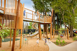 Adelaide Zoo Playground Activity Wallpaper