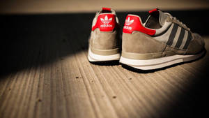 Adidas Worn Trainers Sneakers Wallpaper