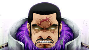 Admiral Issho Fujitora, The Prodigy Of The Marine Wallpaper