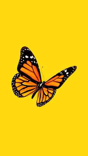 Admire The Beauty Of These Vibrant Yellow Butterflies! Wallpaper