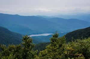 Admiring The Natural Beauty Of The Blue Ridge Parkway Wallpaper