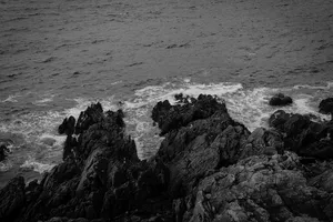 Admiring The Serenity Of The Black Sea Wallpaper