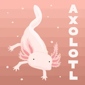 Adorable Axolotl In A Magical Pink Universe Wallpaper