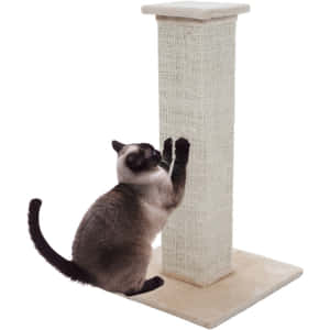 Adorable Cat Enjoying A Satisfying Scratch On A Tall Scratching Post Wallpaper