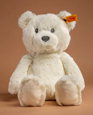 Adorable Cuddly Kitten Resting On A Soft Blanket Wallpaper