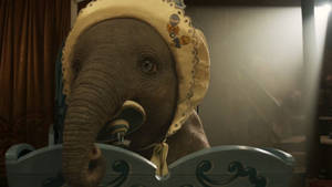 Adorable Infant Dumbo Wallpaper