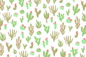 Adorable Kawaii Cactus Illustration Wallpaper