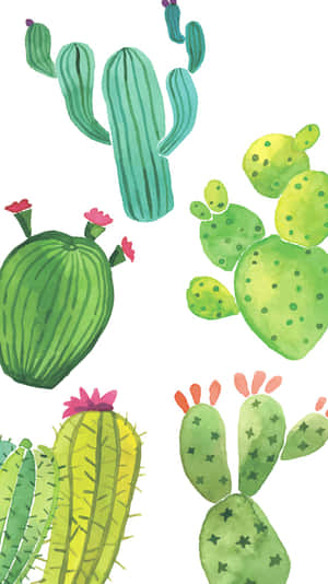 Adorable Kawaii Cactus Illustration Wallpaper