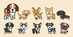 Adorable Kawaii Dog Smiling At You Wallpaper