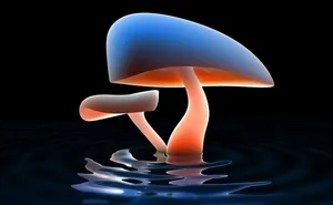 Adorable Kawaii Mushroom Illustration Wallpaper