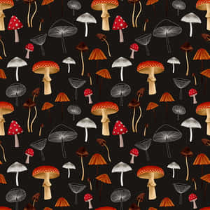 Adorable Kawaii Mushroom Illustration Wallpaper