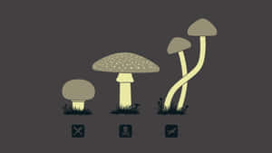 Adorable Kawaii Mushroom In A Magical Forest Wallpaper