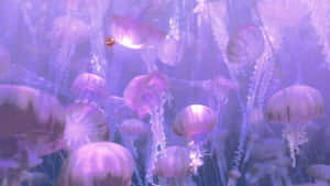 Adorable Kawaii Sea Creatures Enjoying Underwater Life Wallpaper