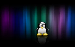 Adorable Penguin Tux Wallpaper Wallpaper