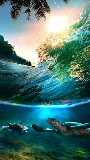 Adorable Sea Turtles Tropical Iphone Wallpaper