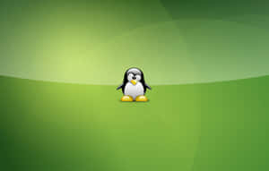 Adorable Tux The Penguin In A Snowy Landscape Wallpaper