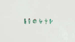 Adorable White Wallpaper