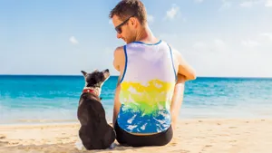 Adoring Brown Dog Waits Patiently Wallpaper