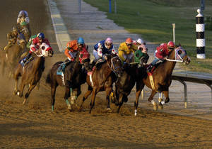 Adrenaline Rush At Highway Horse Racing Wallpaper