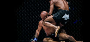 Adriano Moraes Mma Fight Against Demetrious Johnson Wallpaper