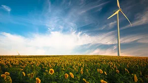 Advancing Green Technology Through Innovation Wallpaper