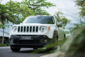 Adventure Begins With A Jeep Renegade Wallpaper