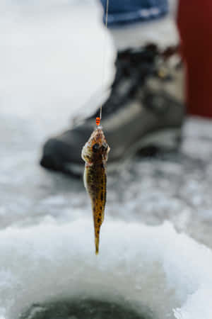 Adventurous Ice Fishing On A Chilly Winter Day Wallpaper