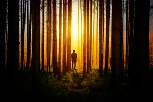 Adventurous Solitude - Man Using Phone In Wilderness Wallpaper