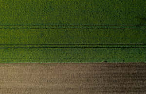 Aerial Farm Patterns Green Brown Wallpaper