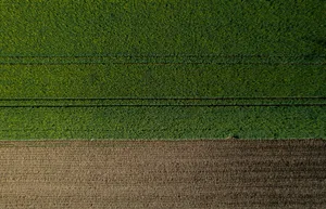 Aerial Farm Patterns Green Brown Wallpaper