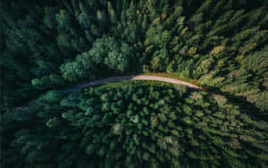 Aerial Forest Road Gavle Sweden Wallpaper