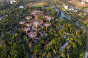 Aerial View Gardens By The Bay Singapore Wallpaper