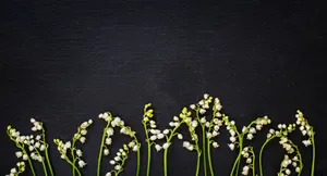 Aerial View Of A City On A Sunny Day Wallpaper
