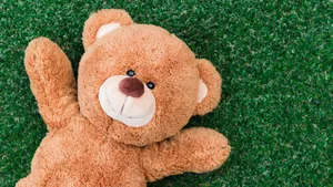 Aerial View Of The Grand Canyon In Arizona, Usa Wallpaper