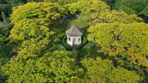 Aerial View Singapore Botanic Gardens Bandstand Wallpaper