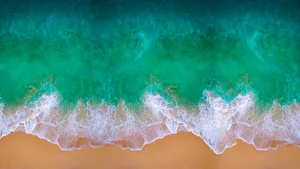 Aerial View Turquoise Waves Sandy Beach Wallpaper