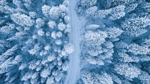 Aerial View Winter For Laptop Wallpaper