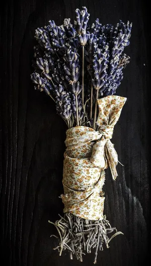 Aesthetic Arrangement Of Dried Flowers Wallpaper