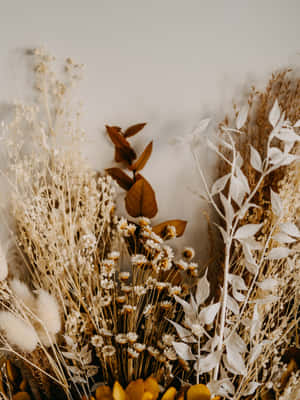 Aesthetic Arrangement Of Dried Flowers In A Vase Wallpaper