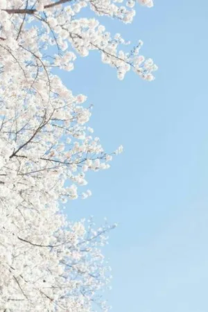 Aesthetic Baby Blue Flowers Wallpaper