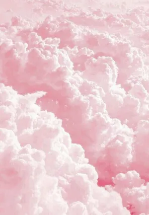 Aesthetic Beauty Of Pink And White Wallpaper