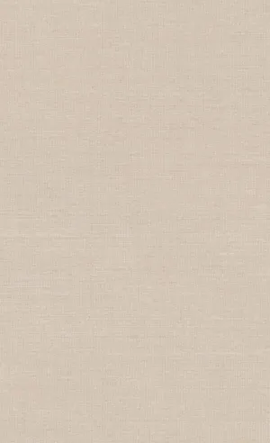 Aesthetic Beige Wall Paint Wallpaper