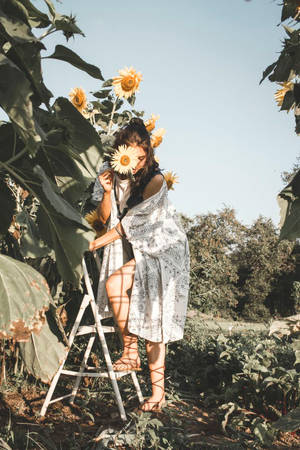 Aesthetic Boho Picking Sunflowers Wallpaper