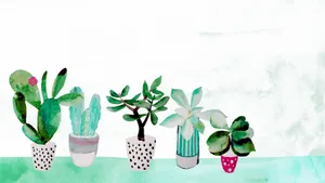 Aesthetic Cactus Drawing Wallpaper