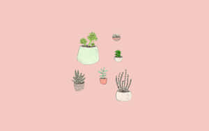 Aesthetic Cactus Pastel Wallpaper