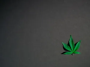Aesthetic Cannabis Leaf Against Vibrant Background Wallpaper