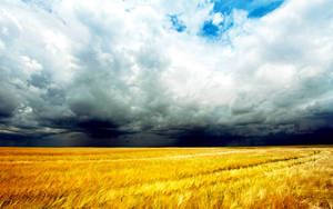 Aesthetic Clouds Above Field Wallpaper