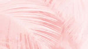 Aesthetic Computer Light Pink Feathers Wallpaper