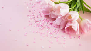 Aesthetic Computer Light Pink Flowers Wallpaper